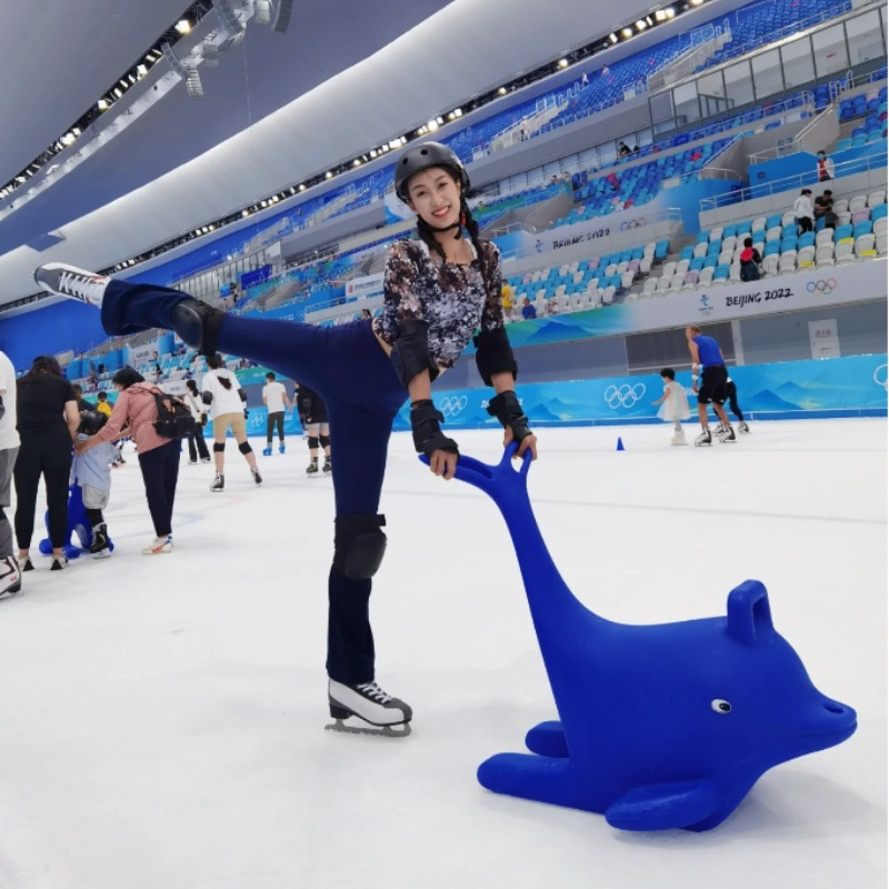 Assistent voor zwaar schaatsen - Heavy Equipment Instructor recensie en prijs